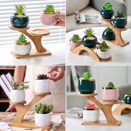 Modern Bamboo Succulent Planter Stand With White..