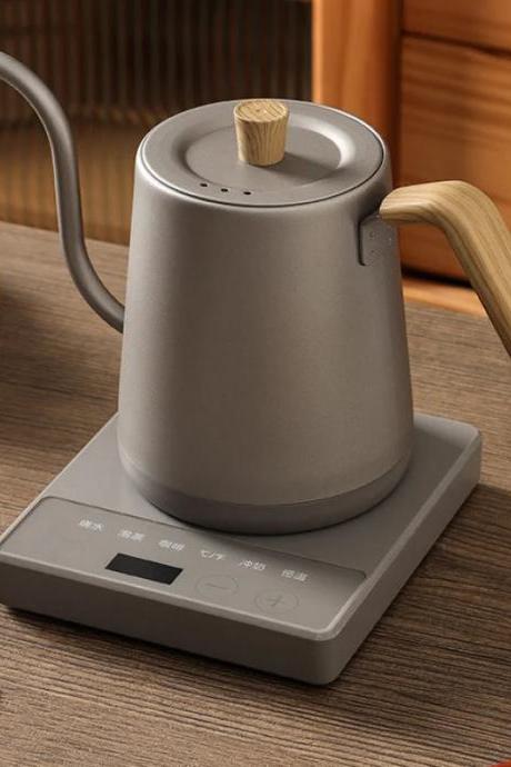 Modern Electric Gooseneck Kettle With Temperature Control