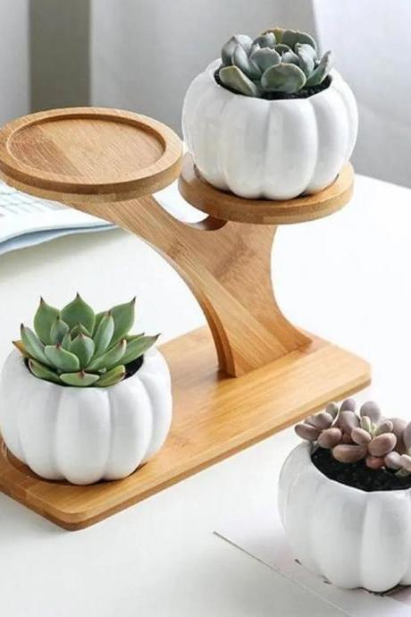 Modern Bamboo Succulent Planter Stand With White Pots