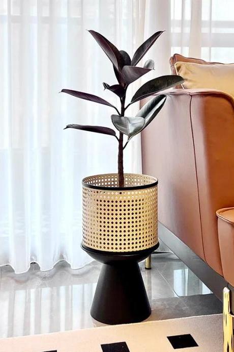 Modern Indoor Potted Rubber Plant With Decorative Planter