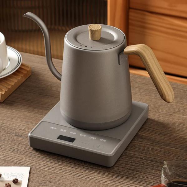 Modern Electric Gooseneck Kettle with Temperature Control