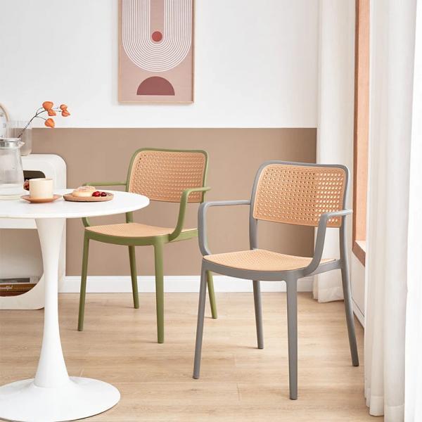 Modern Woven Back Plastic Dining Chairs, Set of 2